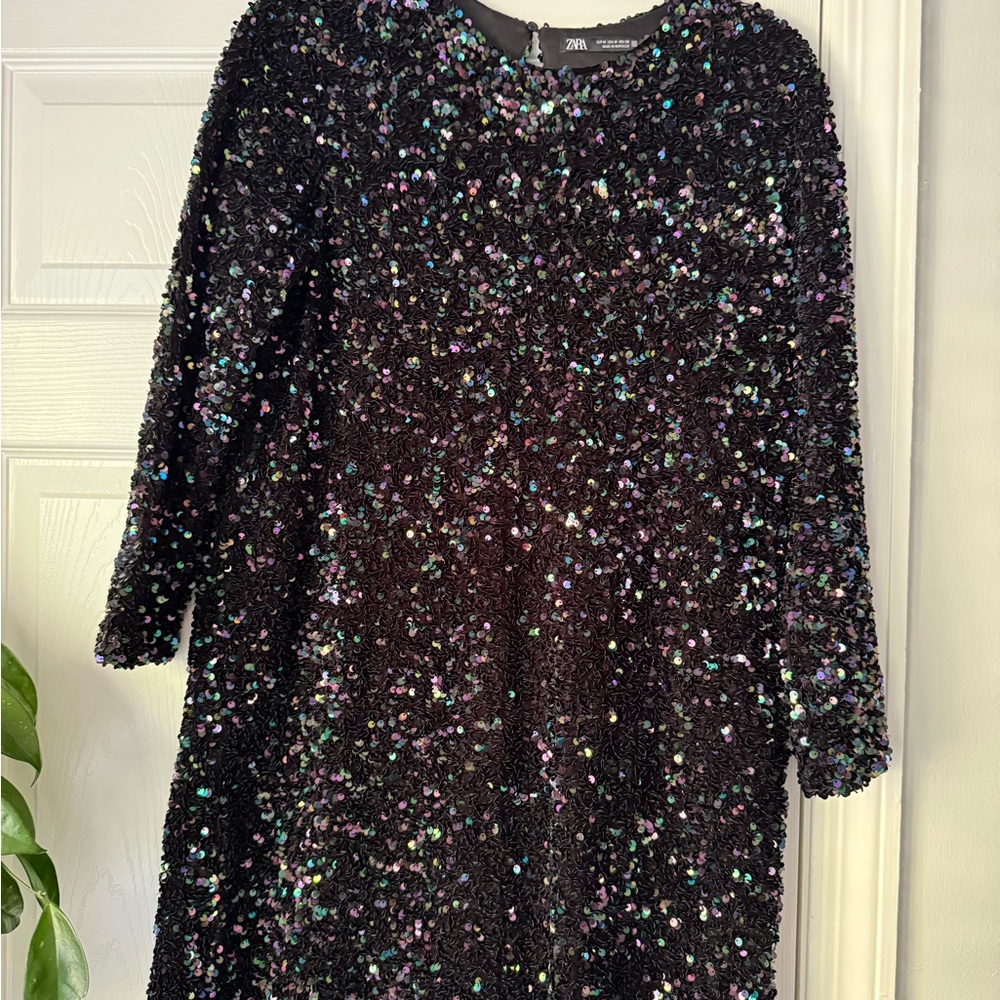 Zara Women’s Multicolor Sequin Dress
